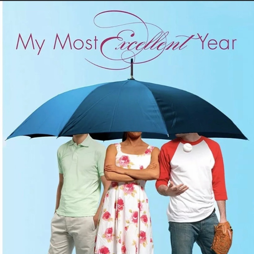 The Most Excellent year by Steve Kluger